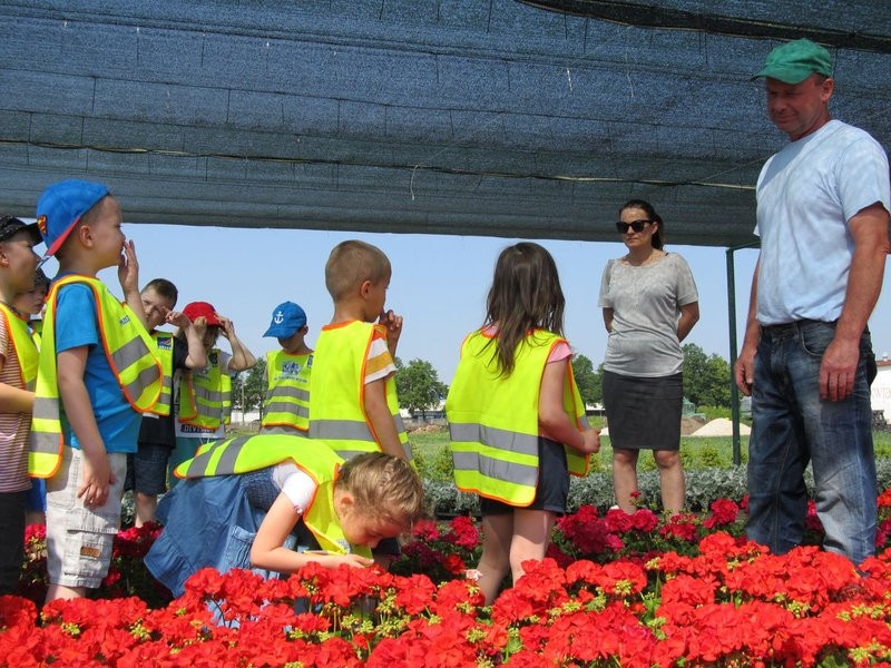 Pracownicy zieleni zapraszają do zakładu (zdjęcia)