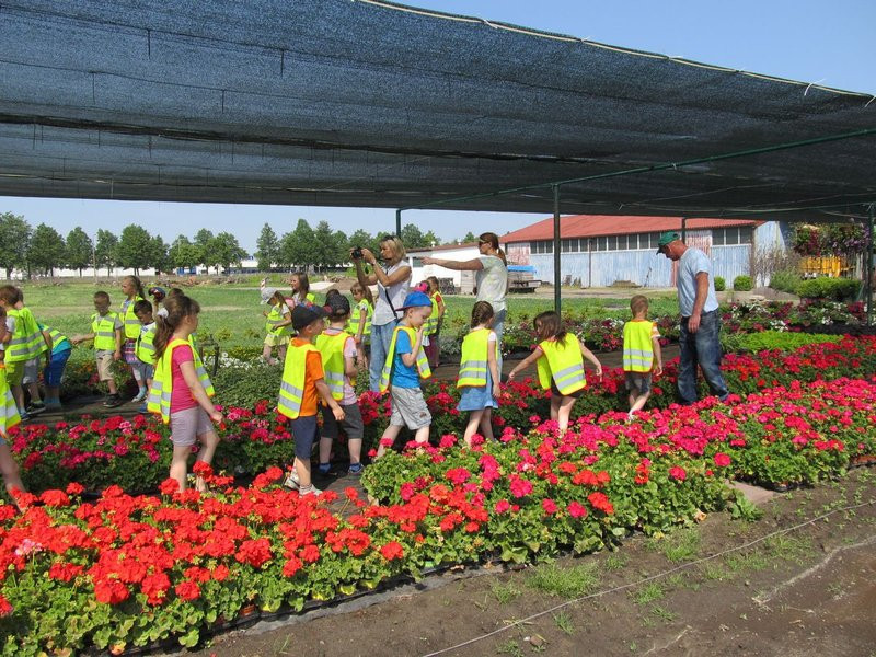 Pracownicy zieleni zapraszają do zakładu (zdjęcia)