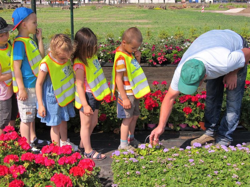 Pracownicy zieleni zapraszają do zakładu (zdjęcia)