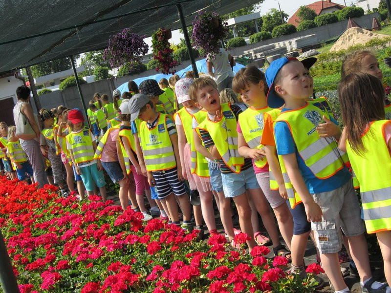 Pracownicy zieleni zapraszają do zakładu (zdjęcia)