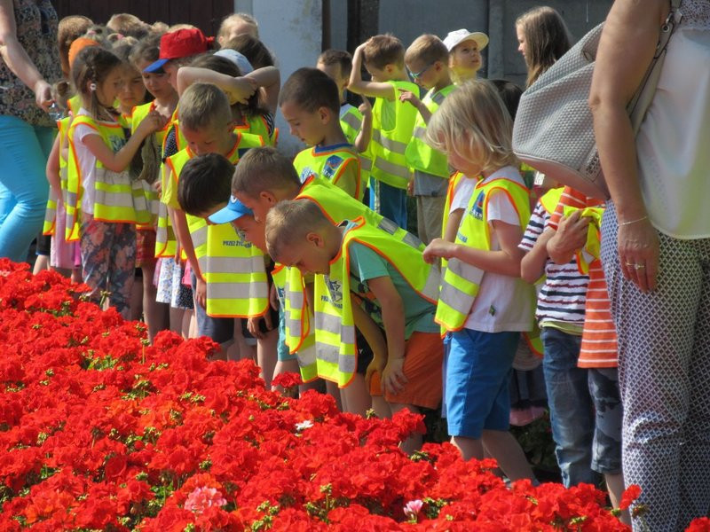 Pracownicy zieleni zapraszają do zakładu (zdjęcia)