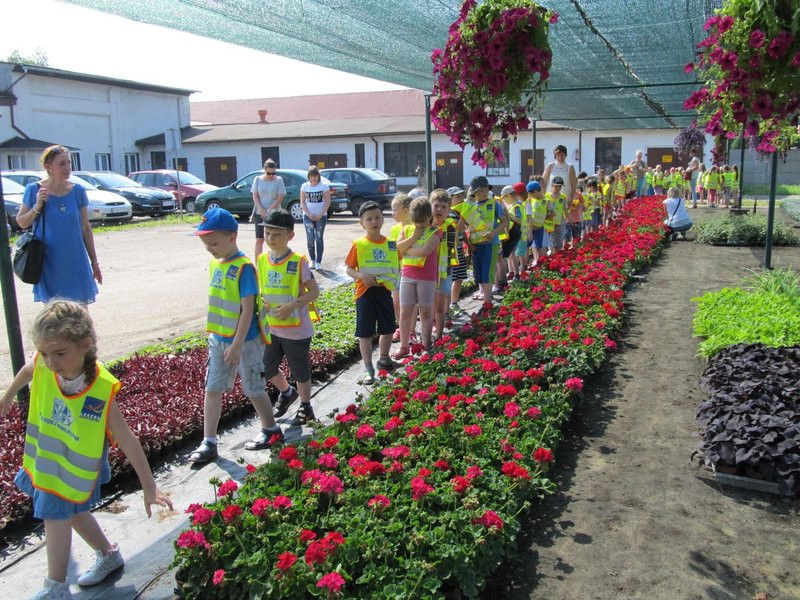 Pracownicy zieleni zapraszają do zakładu (zdjęcia)
