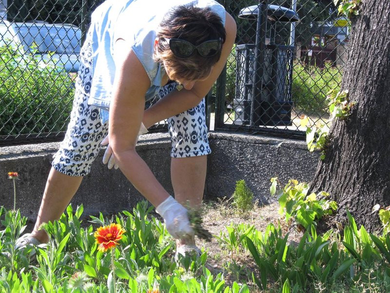 W czynie społecznym dla przedszkola (zdjęcia)