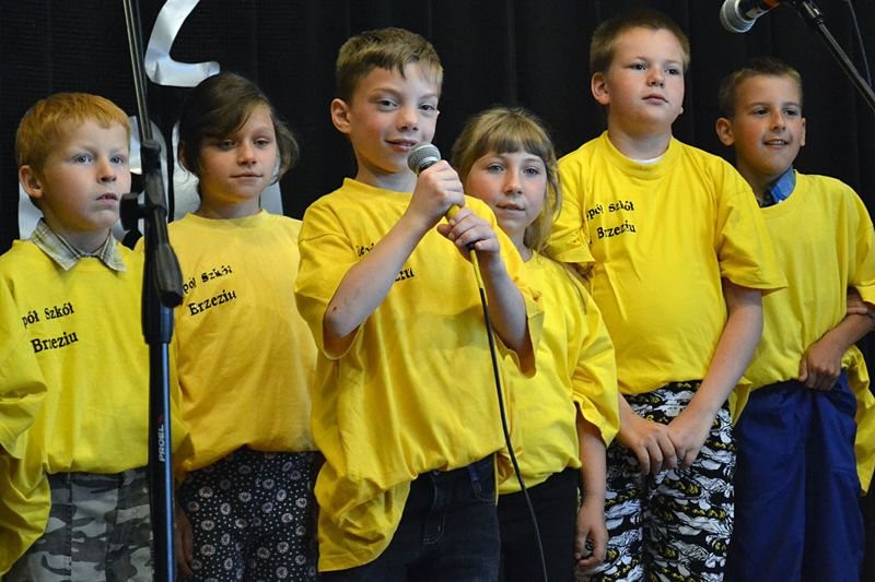 Festiwal pozytywnej energii w Garzynie (zdjęcia)