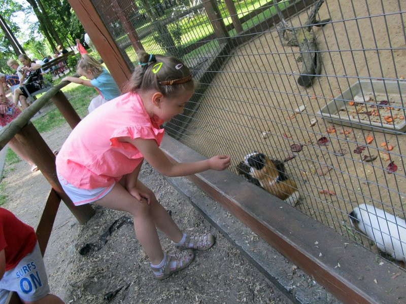 Mini-ZOO świętowało czterdziestkę (zdjęcia)