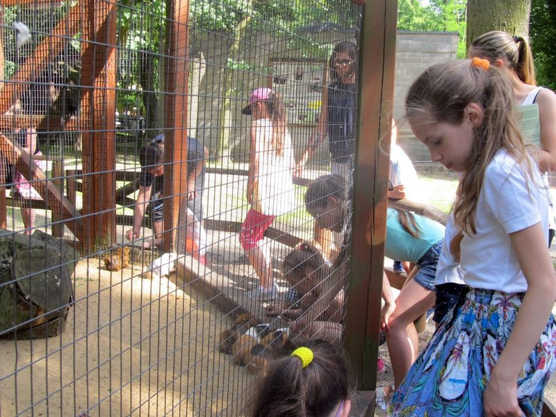 Mini-ZOO świętowało czterdziestkę (zdjęcia)