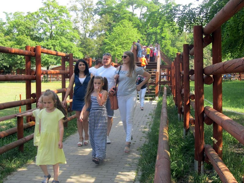 Mini-ZOO świętowało czterdziestkę (zdjęcia)