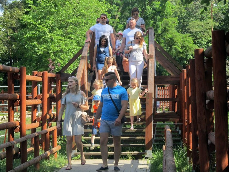 Mini-ZOO świętowało czterdziestkę (zdjęcia)