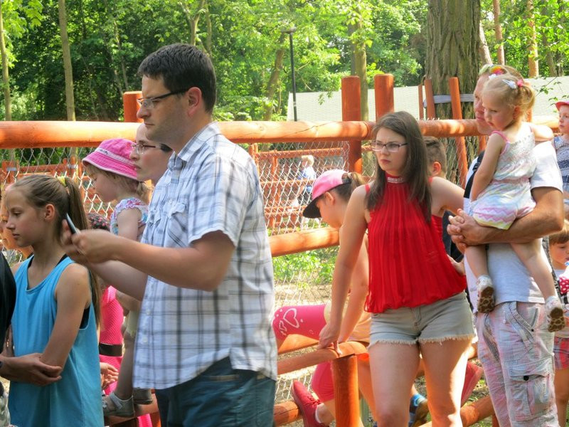 Mini-ZOO świętowało czterdziestkę (zdjęcia)
