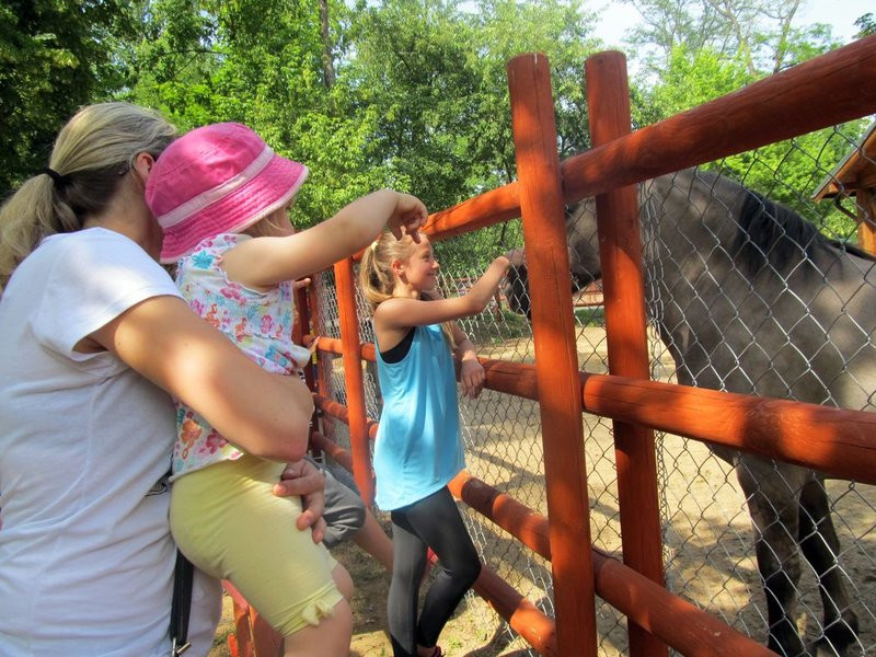 Mini-ZOO świętowało czterdziestkę (zdjęcia)