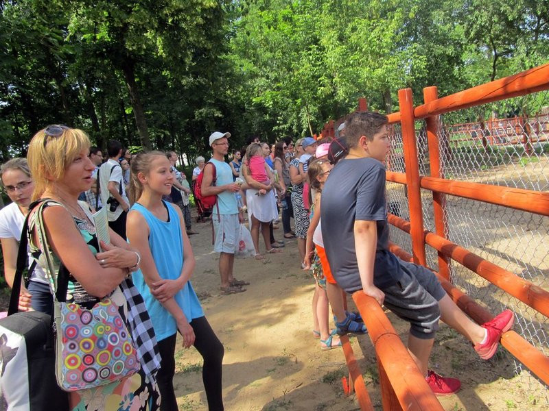 Mini-ZOO świętowało czterdziestkę (zdjęcia)
