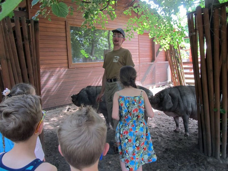Mini-ZOO świętowało czterdziestkę (zdjęcia)