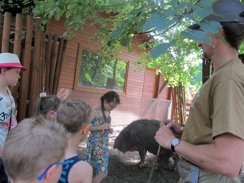 Mini-ZOO świętowało czterdziestkę (zdjęcia)