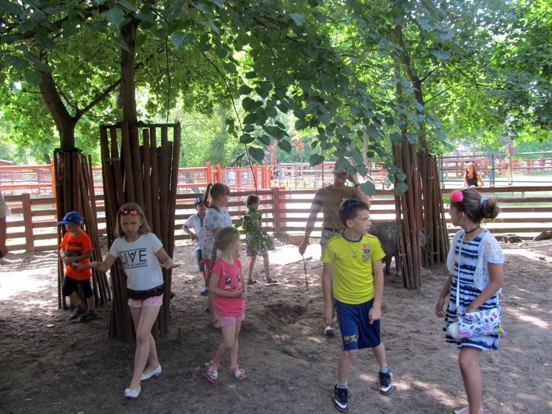 Mini-ZOO świętowało czterdziestkę (zdjęcia)