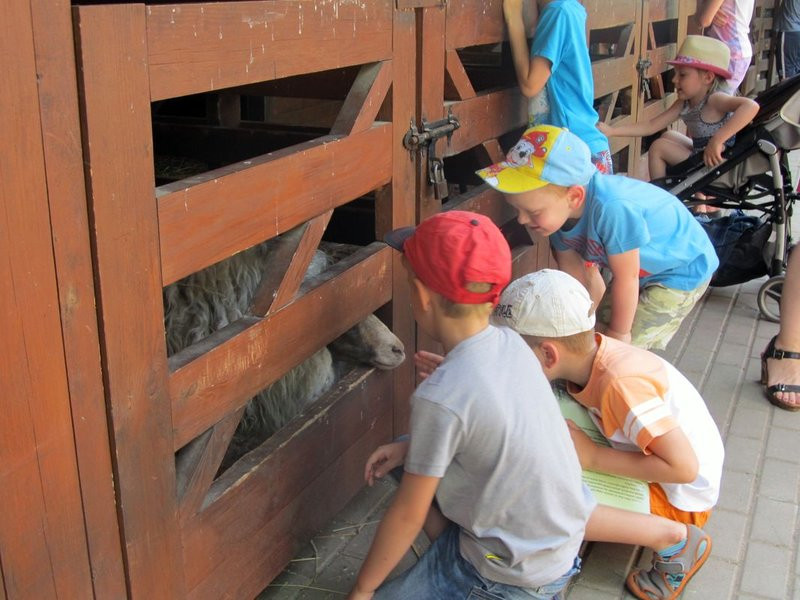Mini-ZOO świętowało czterdziestkę (zdjęcia)