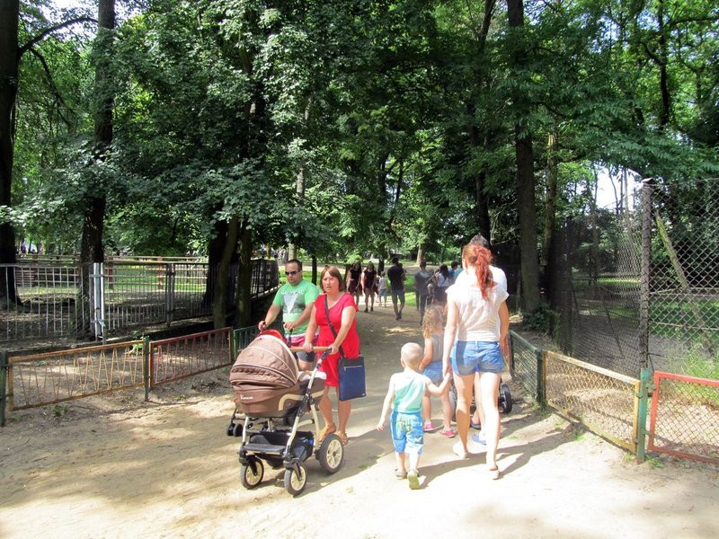 Mini-ZOO świętowało czterdziestkę (zdjęcia)