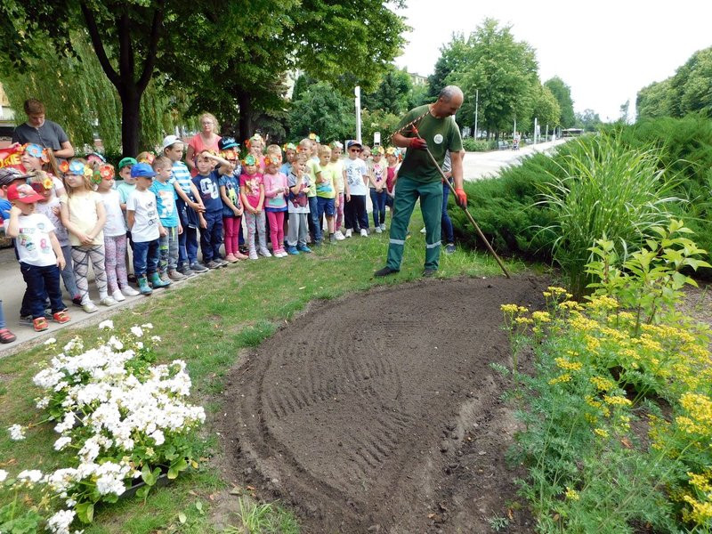 Dzieci sadziły pelargonie (zdjęcia)