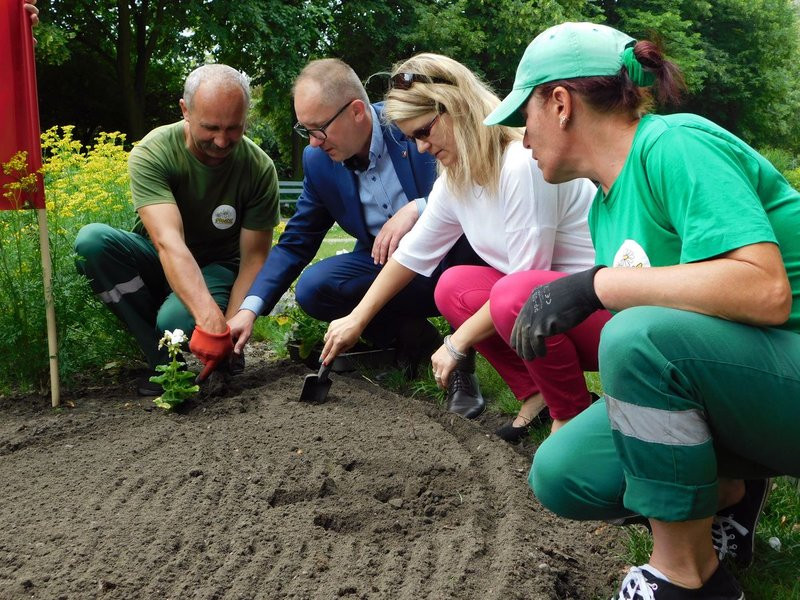 Dzieci sadziły pelargonie (zdjęcia)
