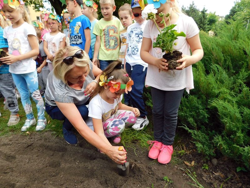 Dzieci sadziły pelargonie (zdjęcia)