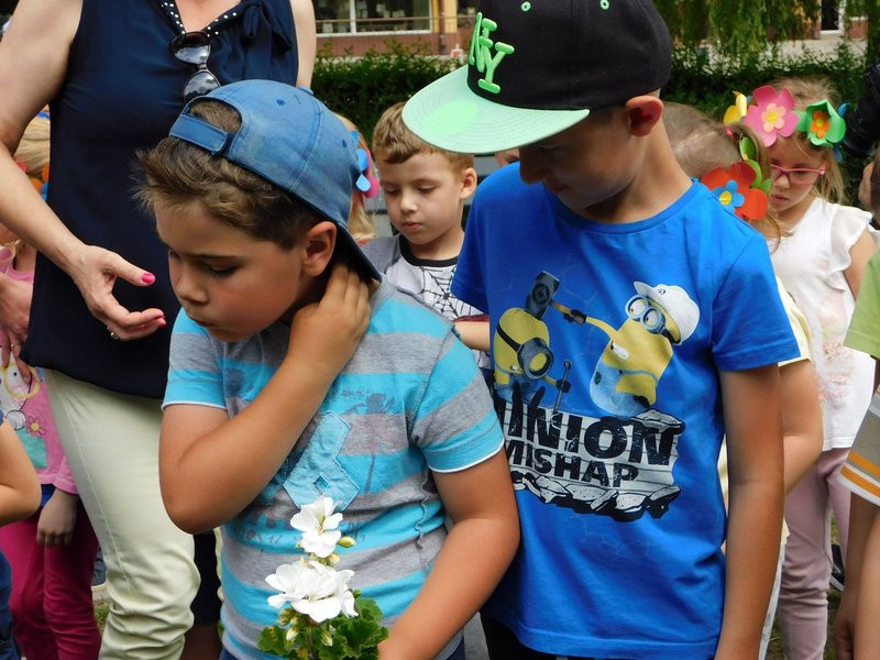 Dzieci sadziły pelargonie (zdjęcia)