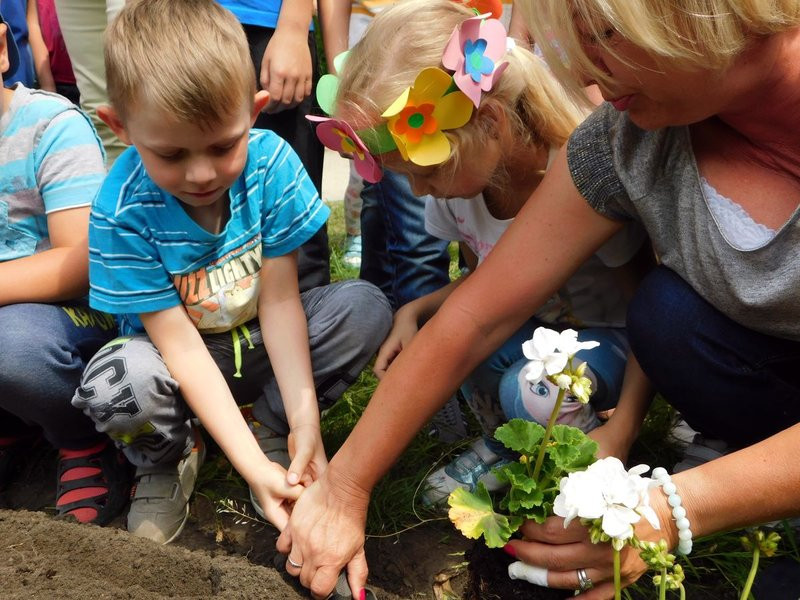Dzieci sadziły pelargonie (zdjęcia)