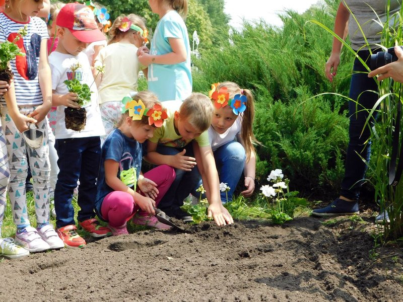 Dzieci sadziły pelargonie (zdjęcia)