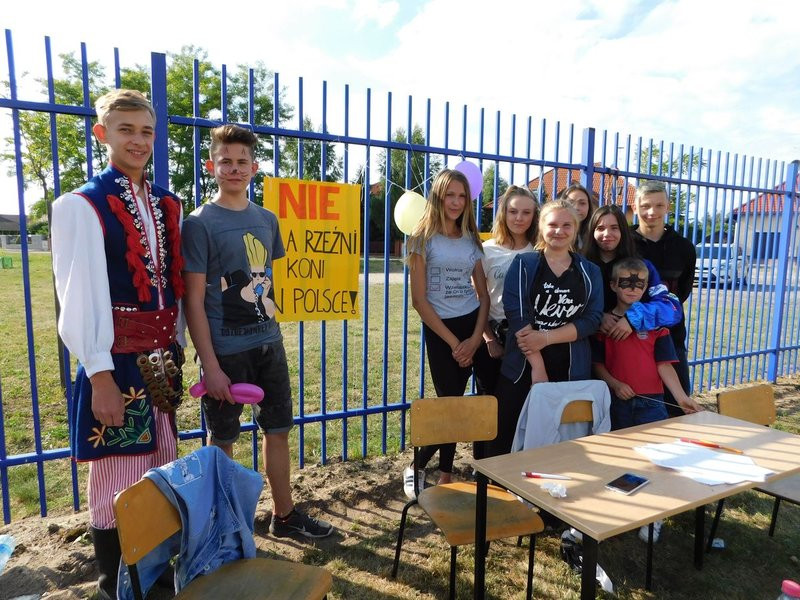 Pokaz talentów w Rydzynie (zdjęcia)