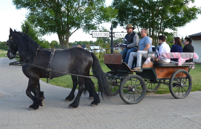 Ćwierć wieku Miejskiego Zakładu Oczyszczania (zdjęcia)