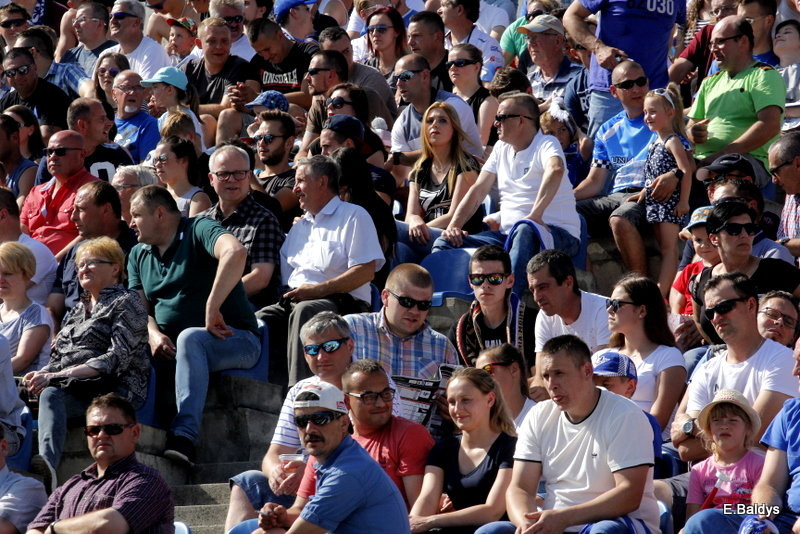 Lwy zostały poskromione (zdjęcia)