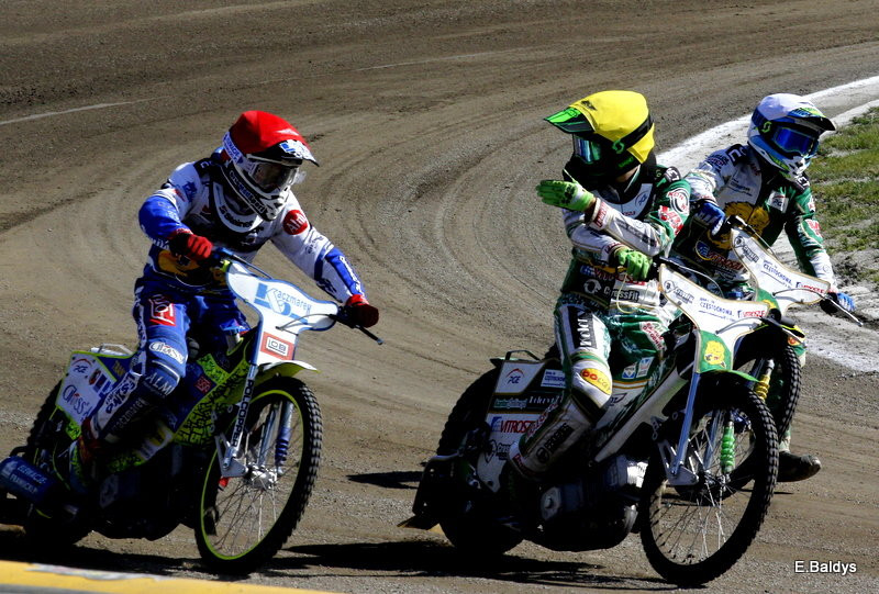 Lwy zostały poskromione (zdjęcia)