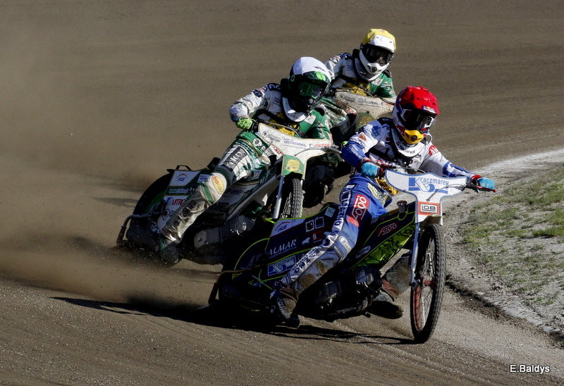 Lwy zostały poskromione (zdjęcia)