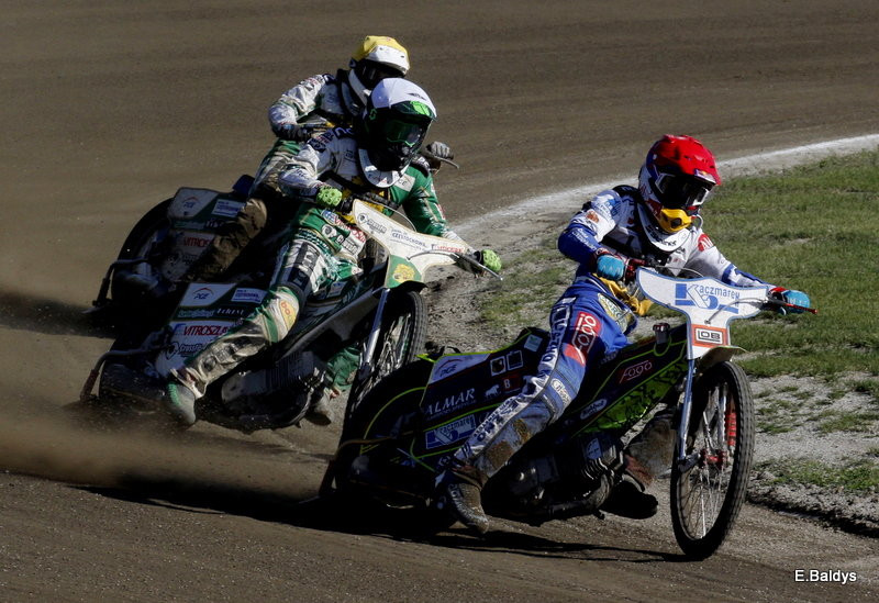 Lwy zostały poskromione (zdjęcia)