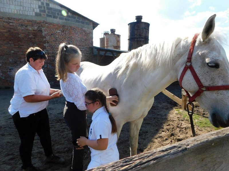 20 medali sukcesem 13 zawodników  (zdjęcia)
