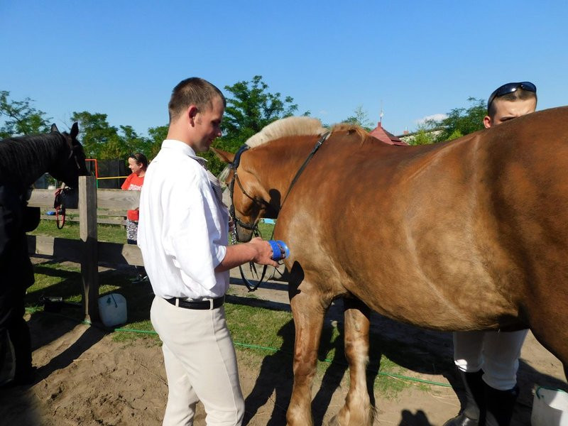 20 medali sukcesem 13 zawodników  (zdjęcia)
