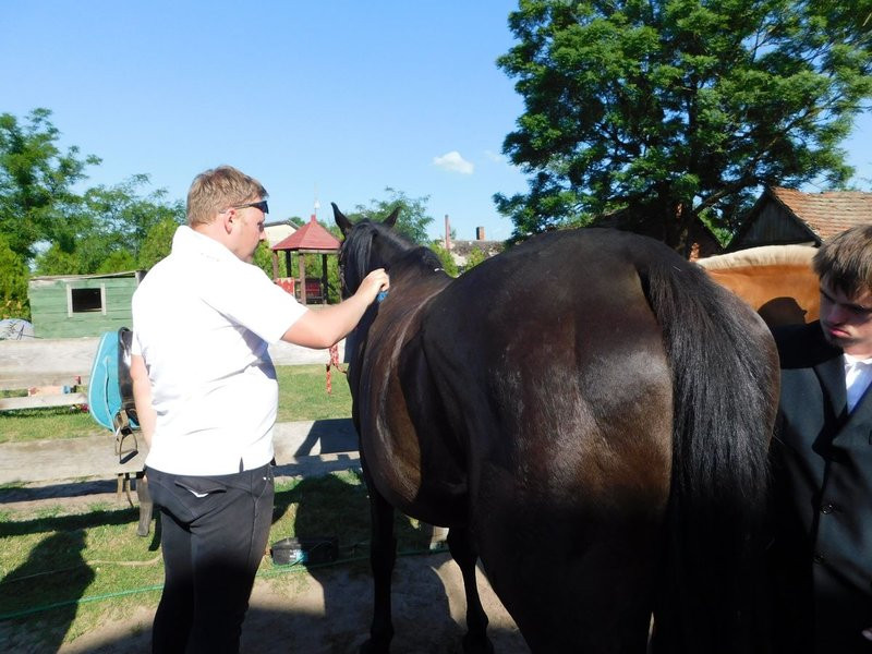 20 medali sukcesem 13 zawodników  (zdjęcia)