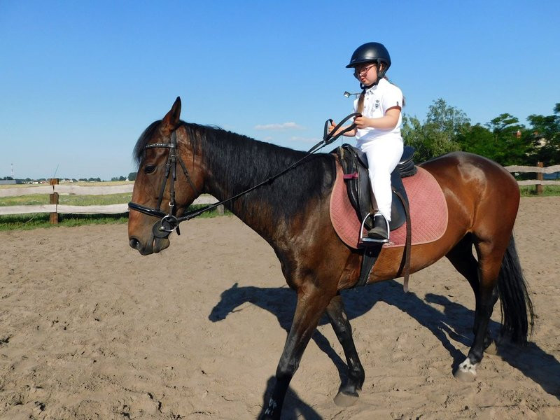 20 medali sukcesem 13 zawodników  (zdjęcia)