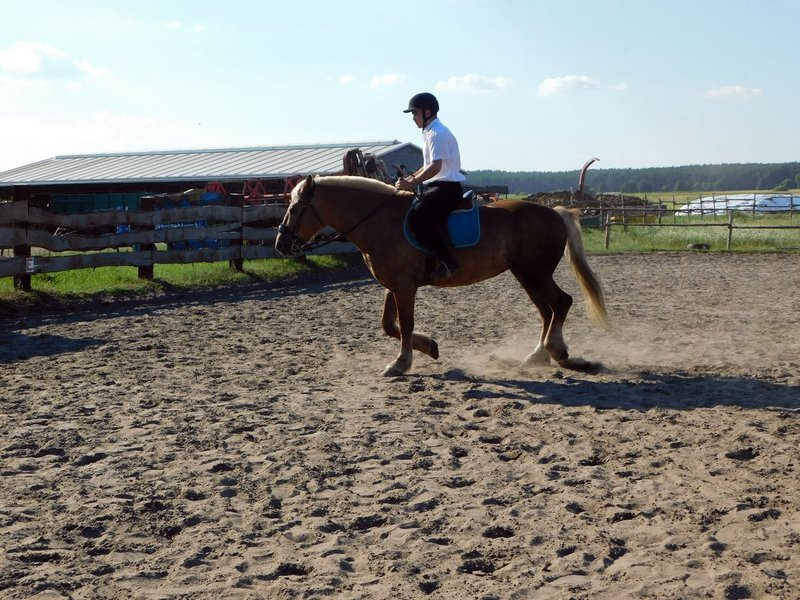 20 medali sukcesem 13 zawodników  (zdjęcia)