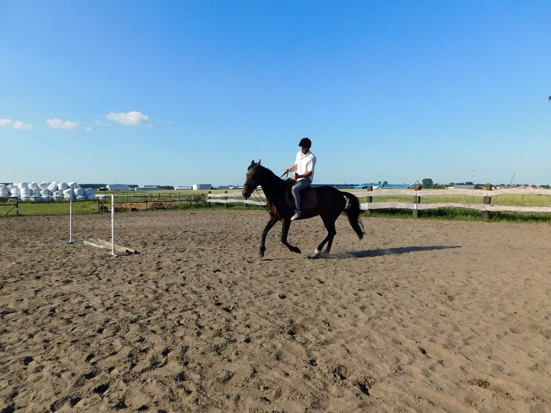 20 medali sukcesem 13 zawodników  (zdjęcia)