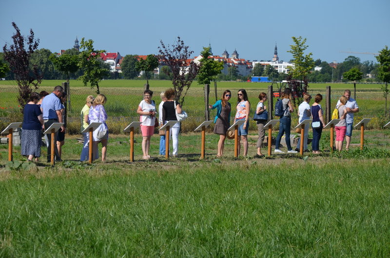Ścieżka ekologiczna na Grzybowie oficjalnie otwarta (zdjęcia)