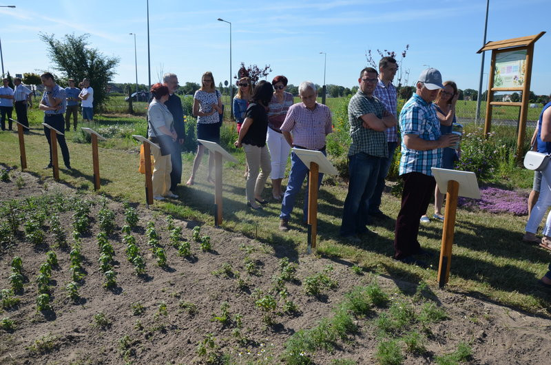 Ścieżka ekologiczna na Grzybowie oficjalnie otwarta (zdjęcia)