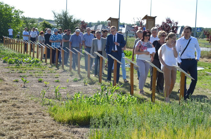 Ścieżka ekologiczna na Grzybowie oficjalnie otwarta (zdjęcia)