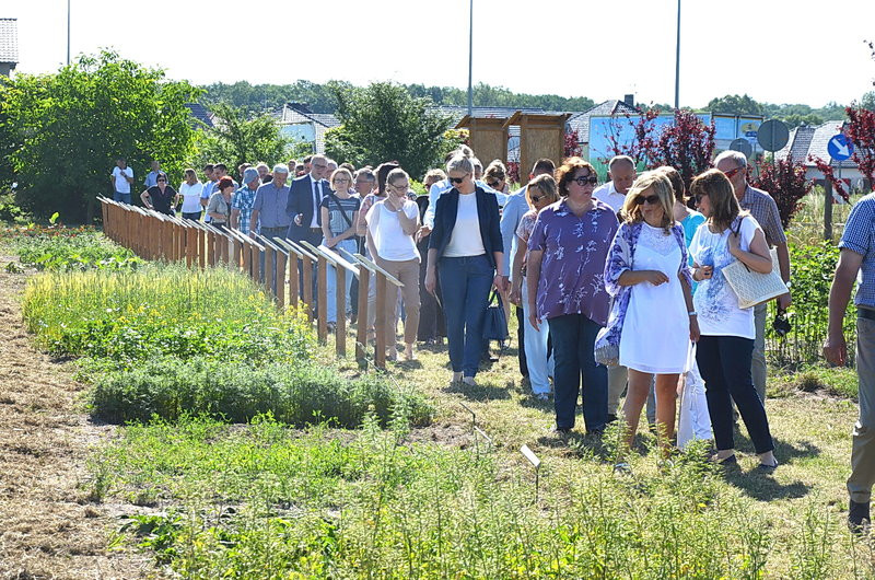 Ścieżka ekologiczna na Grzybowie oficjalnie otwarta (zdjęcia)