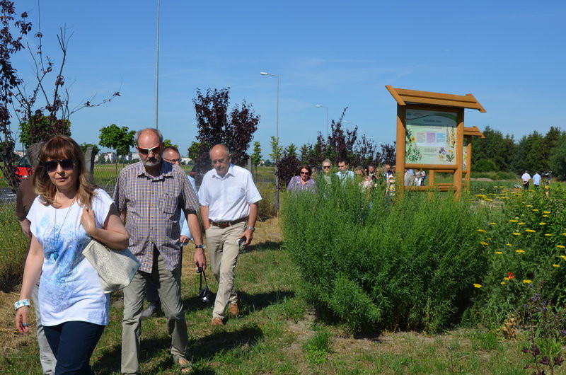 Ścieżka ekologiczna na Grzybowie oficjalnie otwarta (zdjęcia)