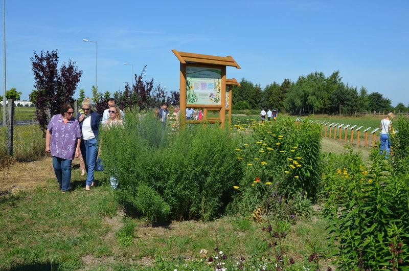Ścieżka ekologiczna na Grzybowie oficjalnie otwarta (zdjęcia)