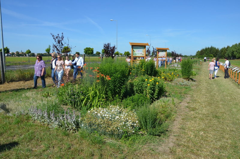 Ścieżka ekologiczna na Grzybowie oficjalnie otwarta (zdjęcia)