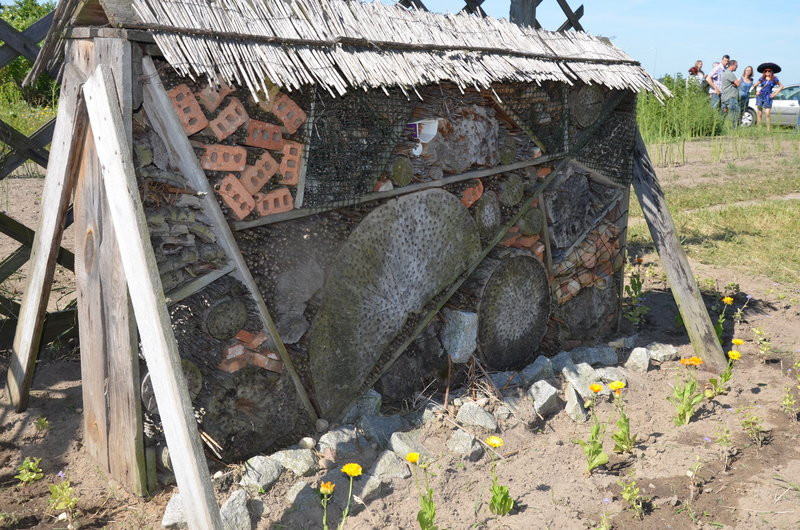 Ścieżka ekologiczna na Grzybowie oficjalnie otwarta (zdjęcia)