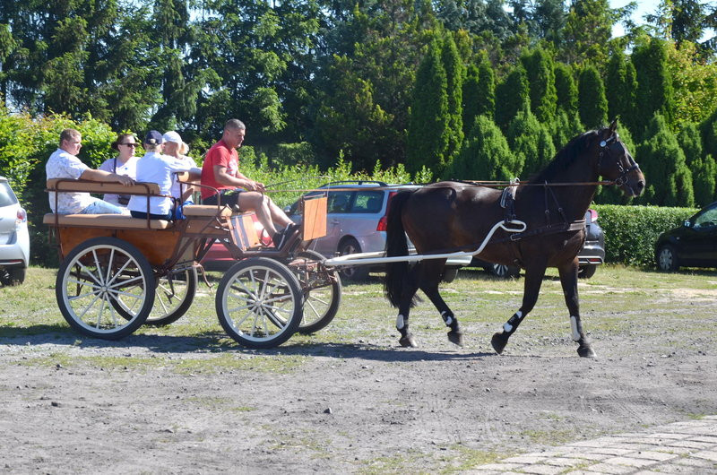 Ścieżka ekologiczna na Grzybowie oficjalnie otwarta (zdjęcia)