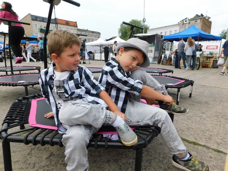 Palmy i piasek na Nowym Rynku (zdjęcia)