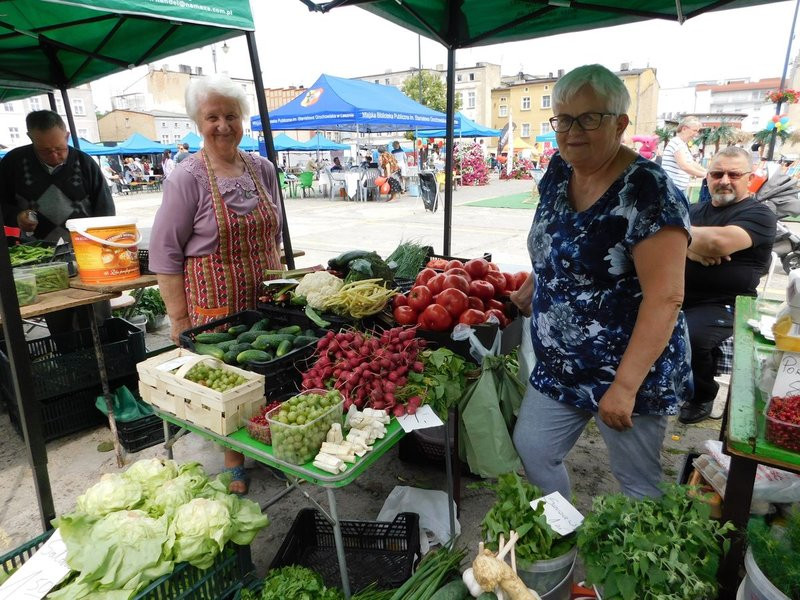 Palmy i piasek na Nowym Rynku (zdjęcia)