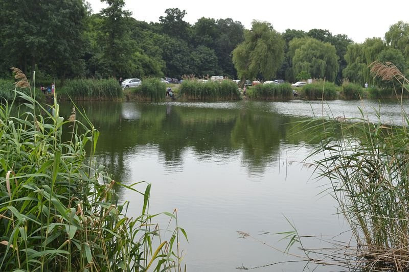 Wędkowali w Pawłowicach (zdjęcia)